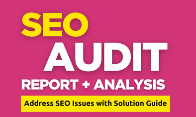 Professional SEO Audit Report With Expert Analysis Service